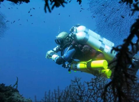 Diving