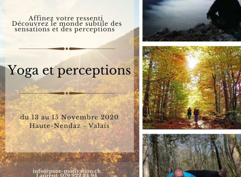 Stage Yoga et Perceptions                                                                                                                                                                                      du 13 au 15 Novembre 2020