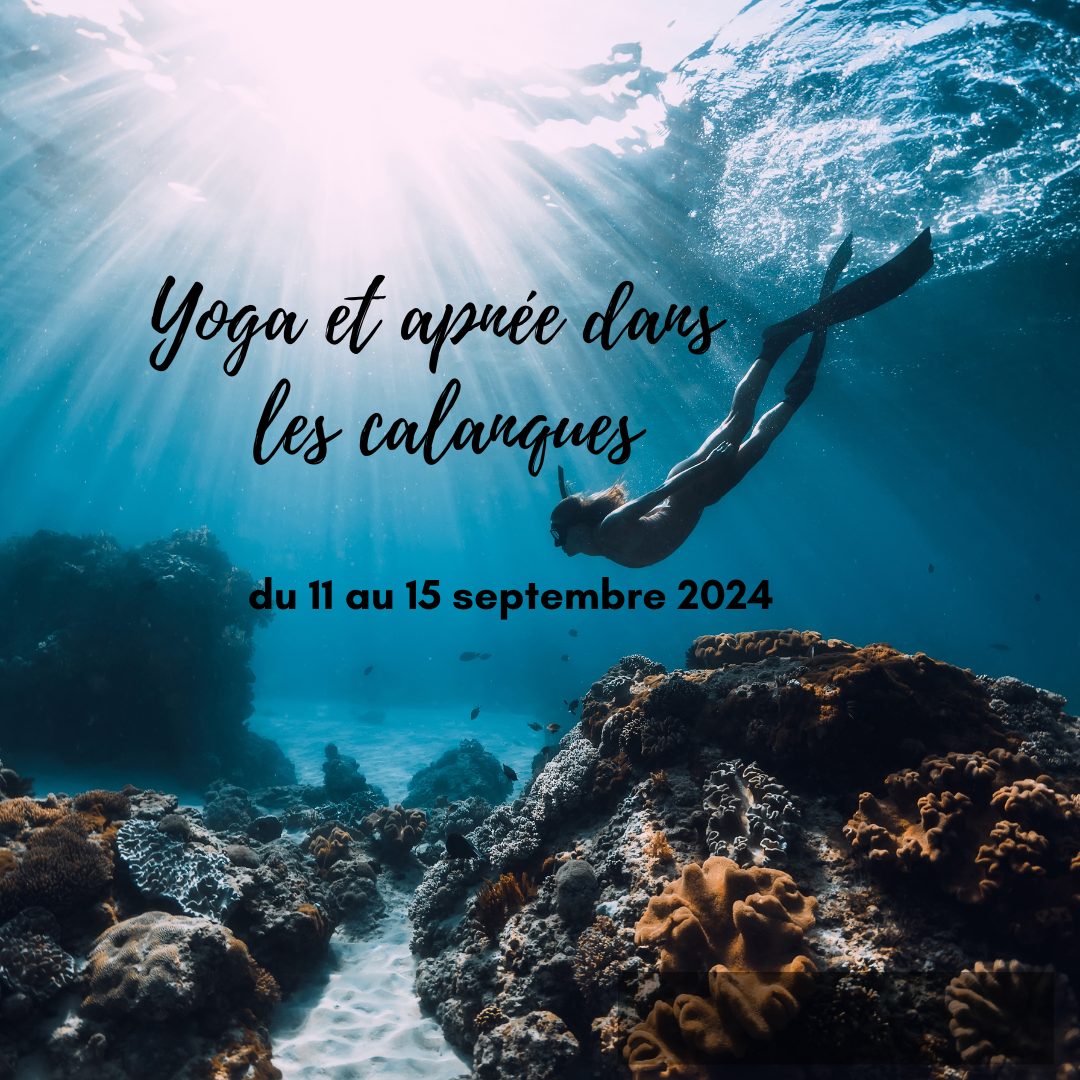 Freediving and Yoga in the French Calanques