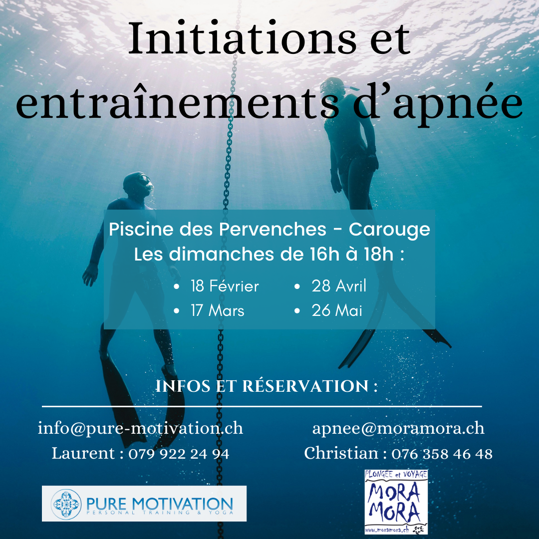 Initiations et entrainements d’Apnée en piscine