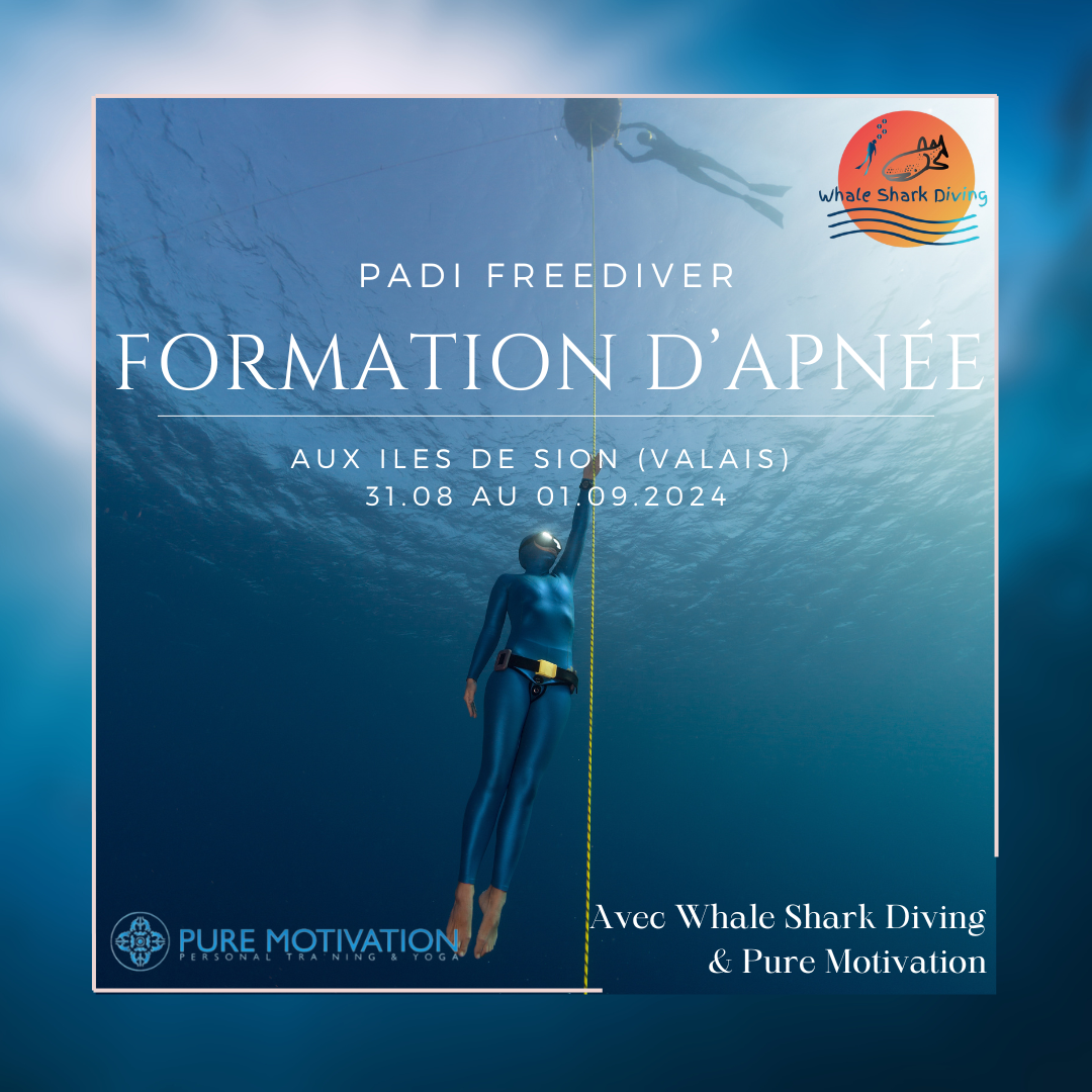 Freediver course in Valais