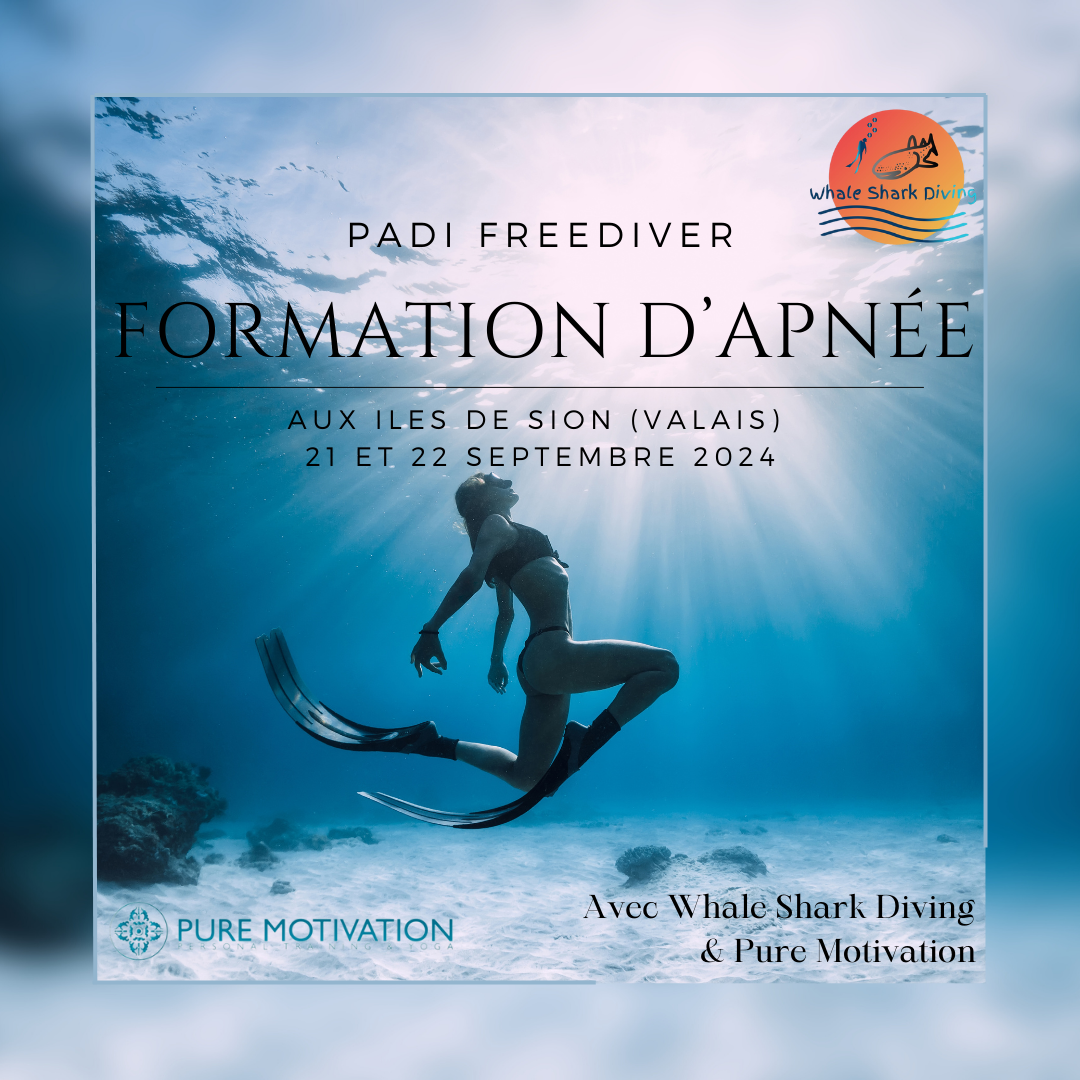 Formation Freediver en Valais !