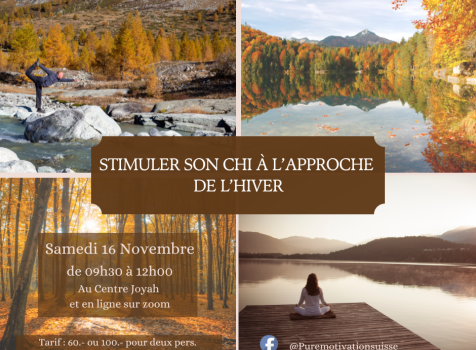 Workshop Mensuel : Stimuler votre Chi pour l’Hiver
