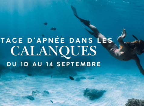 Stages Apnée et Yoga dans les Calanques 2025