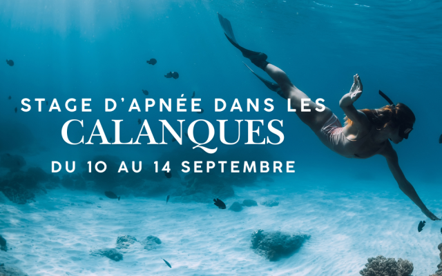 Stages Apnée et Yoga dans les Calanques 2025