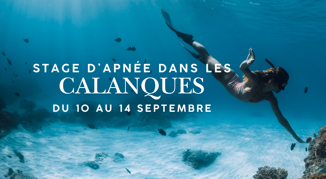 Stages Apnée et Yoga dans les Calanques 2025