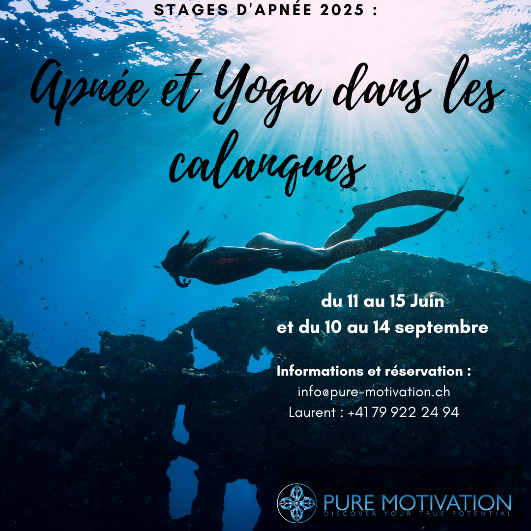 Stages Apnée et Yoga dans les Calanques 2025