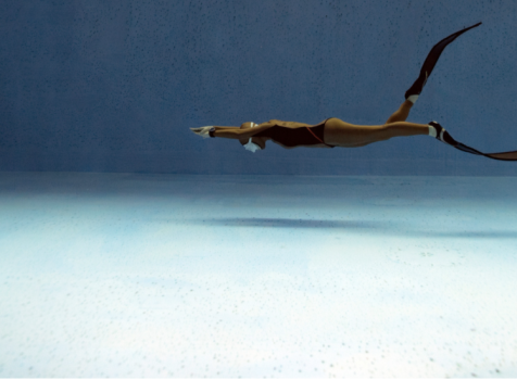 Basic Freediver