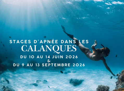 Stages Apnée et Yoga dans les Calanques 2026