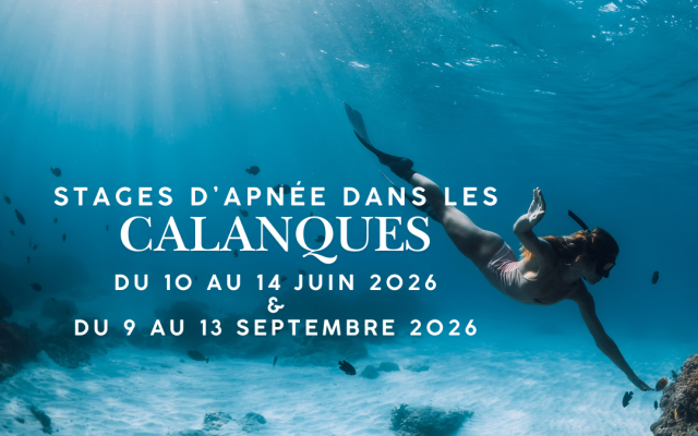 Stages Apnée et Yoga dans les Calanques 2026