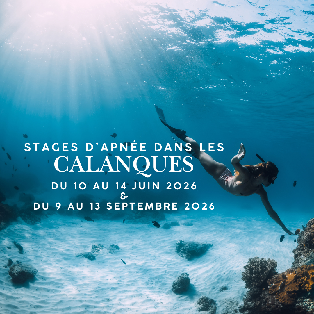 Stages Apnée et Yoga dans les Calanques 2026