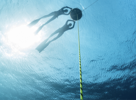 Advanced Freediver