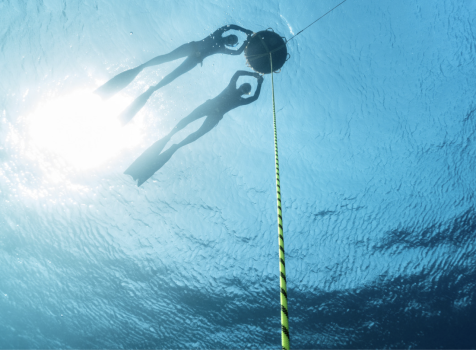 Advanced Freediver