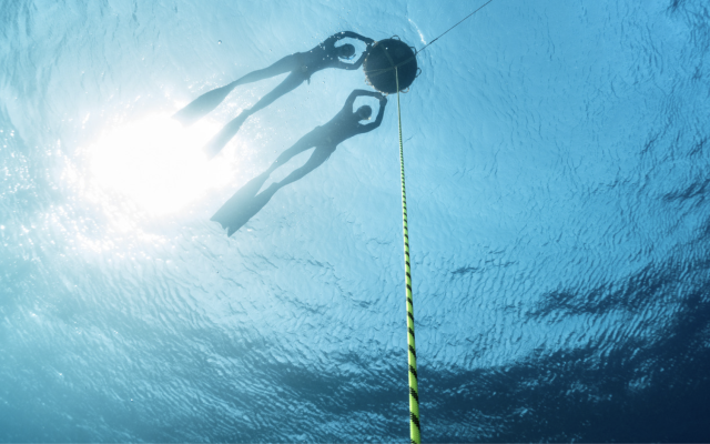 Entraînements d&rsquo;apnée en lac