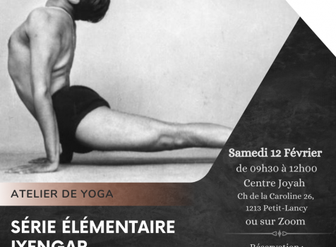 Atelier: Série élémentaire Iyengar