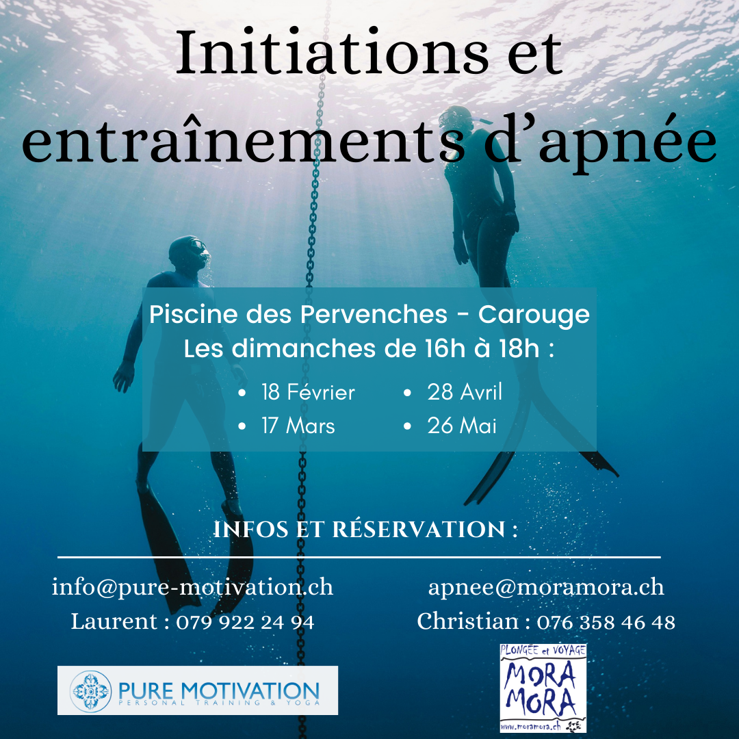 Initiations et entrainements d&rsquo;Apnée en piscine