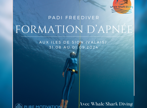 Formation Freediver en Valais !