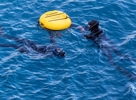 Freediving training